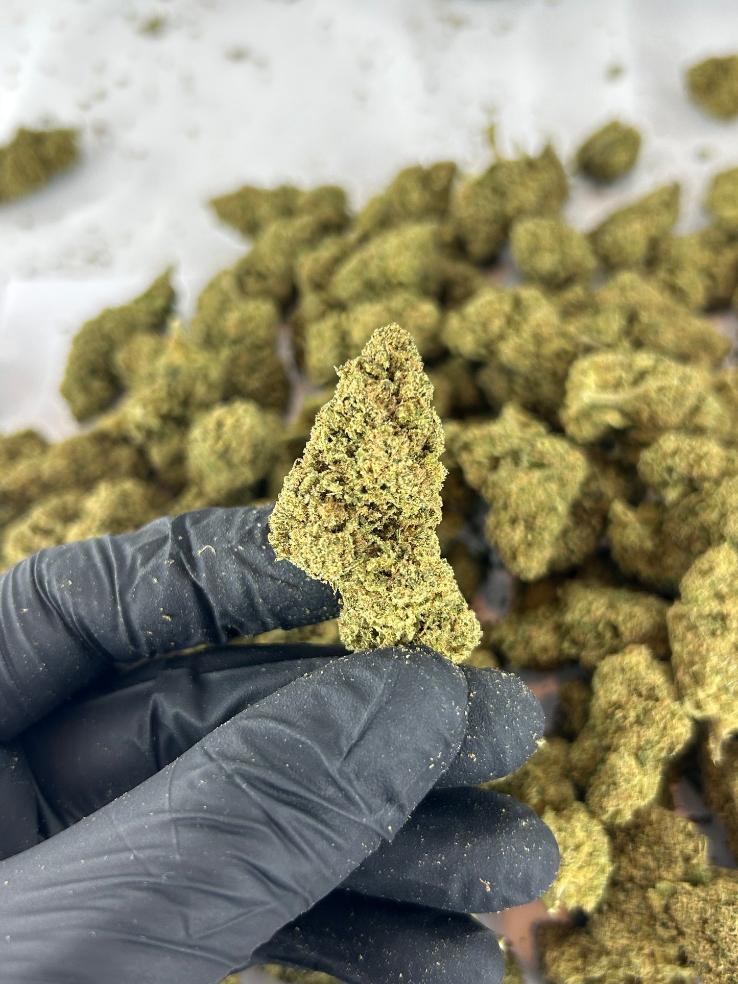 SKYWALKER < 35%