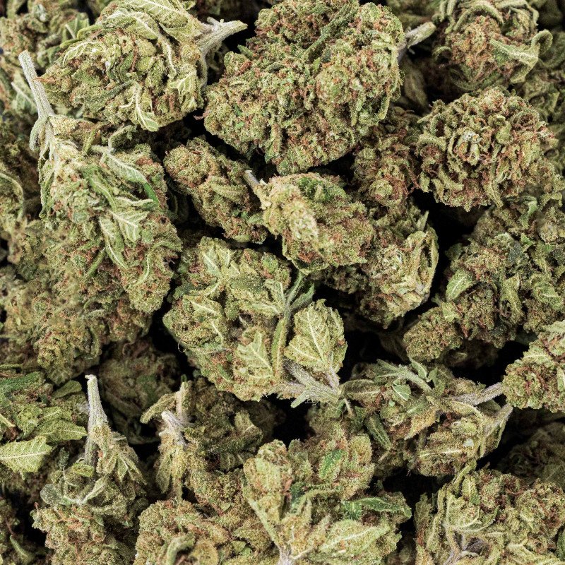 MINI GORILLA KUSH < 35%