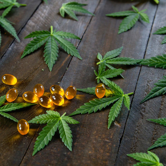 ¿EXISTEN RIESGOS AL COMPRAR CBD BARATO?