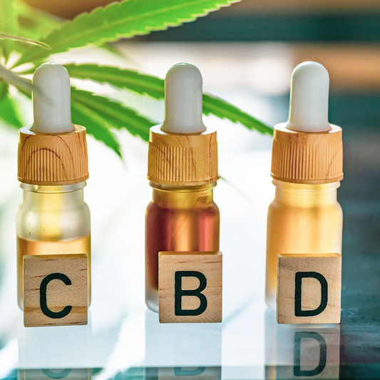 ¿Cuánto Tiempo Permanece el CBD en el Cuerpo? Lo que Necesitas Saber