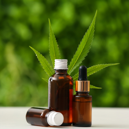 Explorando las Propiedades Medicinales del CBD: Un Poderoso Aliado para el Bienestar