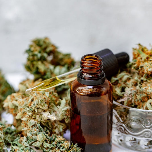 La Mejor Época para Plantar CBD en las Islas Canarias: Una Guía para Cultivadores