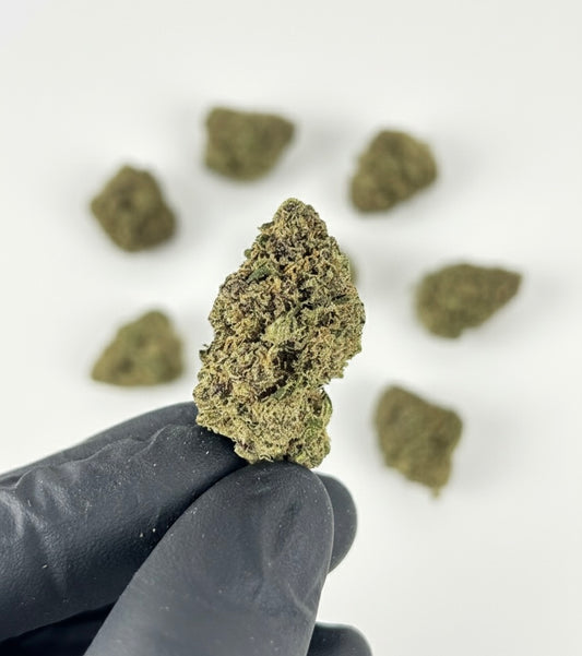 ORANGE SHERBERT < 35%