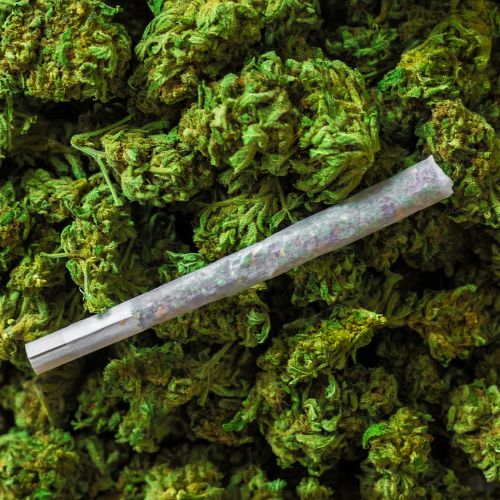 Pre roll CBD AMNESIA